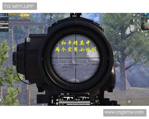 和平精英V5战术深度解析与实战应用全攻略