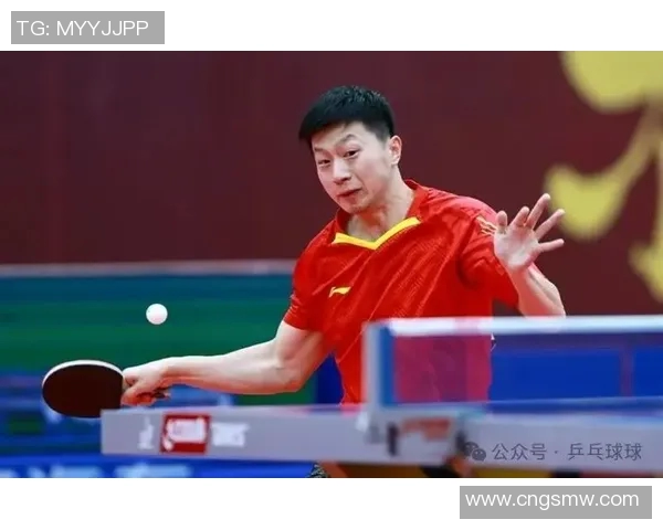 乒乓球之光：深入解析南京乒乓球队员的个人技术与实力
