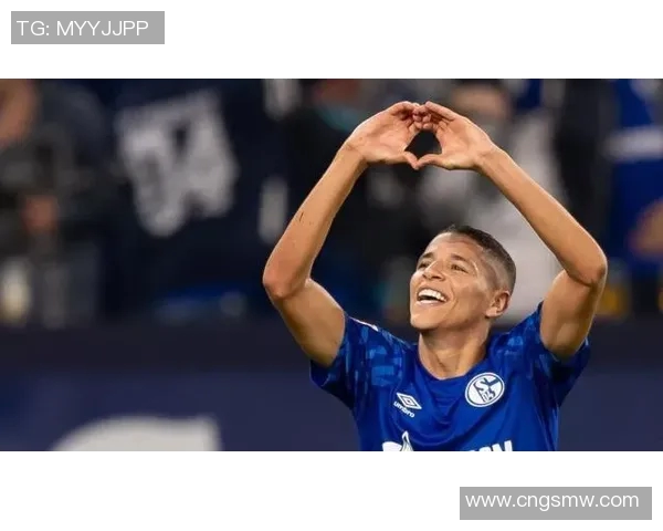 沙尔克04迎战阿里斯全力争胜力图在欧联杯中再创佳绩