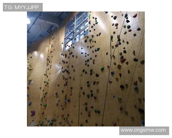 南京攀岩队的防反策略解析与攀岩热点发展趋势探讨